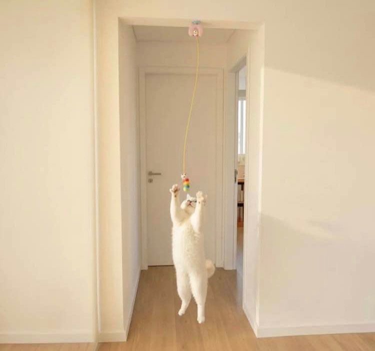 juguete automático inteligente para gatos juguete automático inteligente para gatos